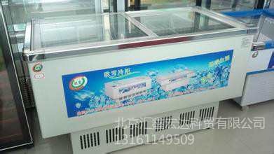 北京保鲜柜租赁/冰箱冰柜租赁不锈钢冷柜