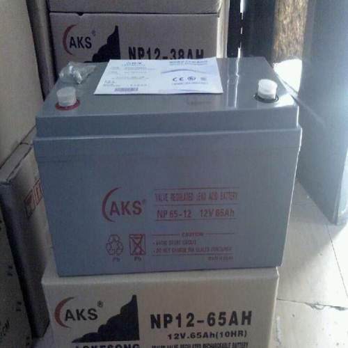 代理促销西藏  拉萨 奥克松12V100AH铅酸免维护蓄电池 原装正品全国联保