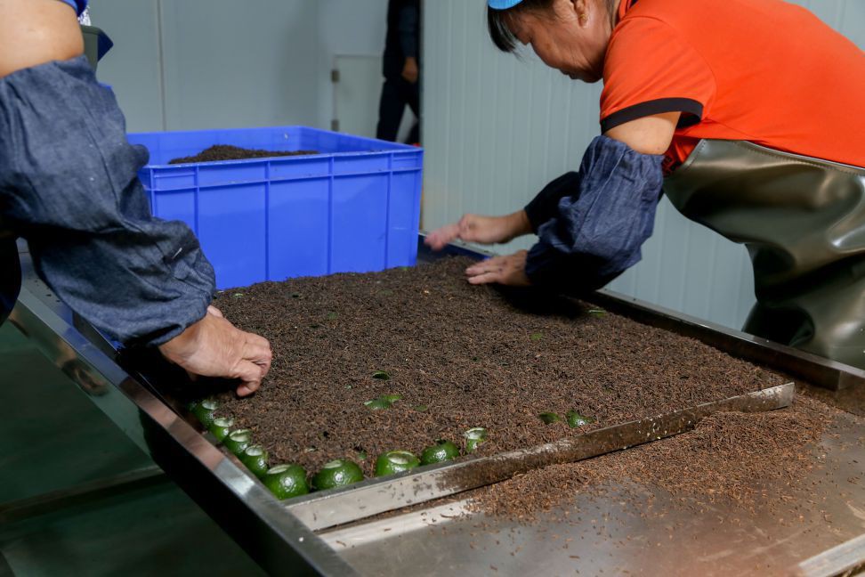 澜沧柑普茶代加工、批发、零售｜紫云斋柑普茶厂家