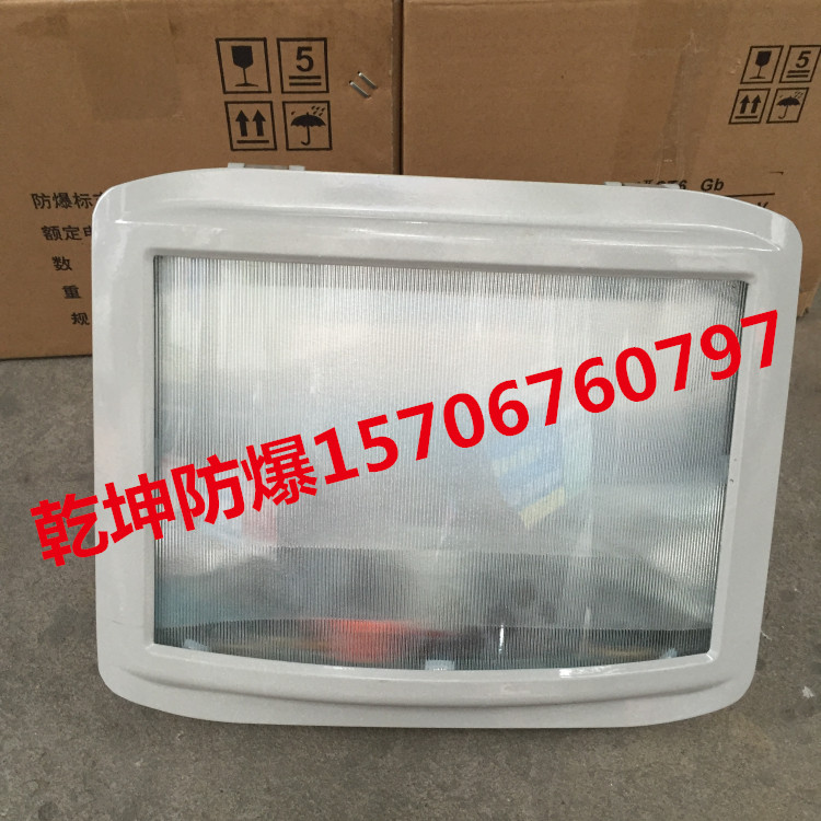 三防防眩泛光灯厂家 型号 价格ZY8100-N100 100W