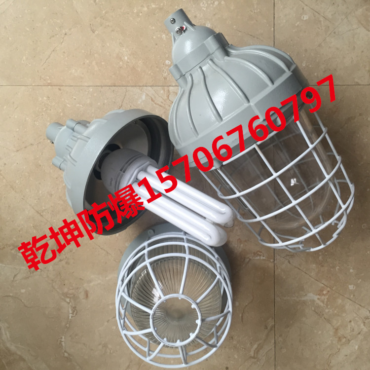 BGL51-J65防爆照明灯65W/85W/105W