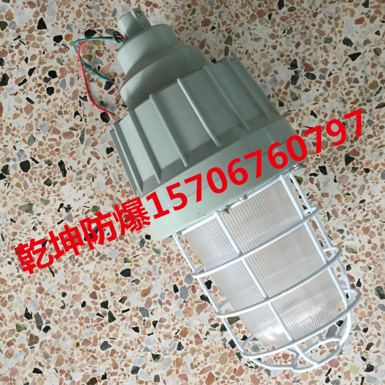 HRD82-L250f隔爆型防爆立杆弯灯