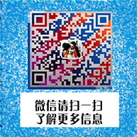 长沙淘宝推广培训哪里好 长沙零基础学开淘宝店来长沙中青教育