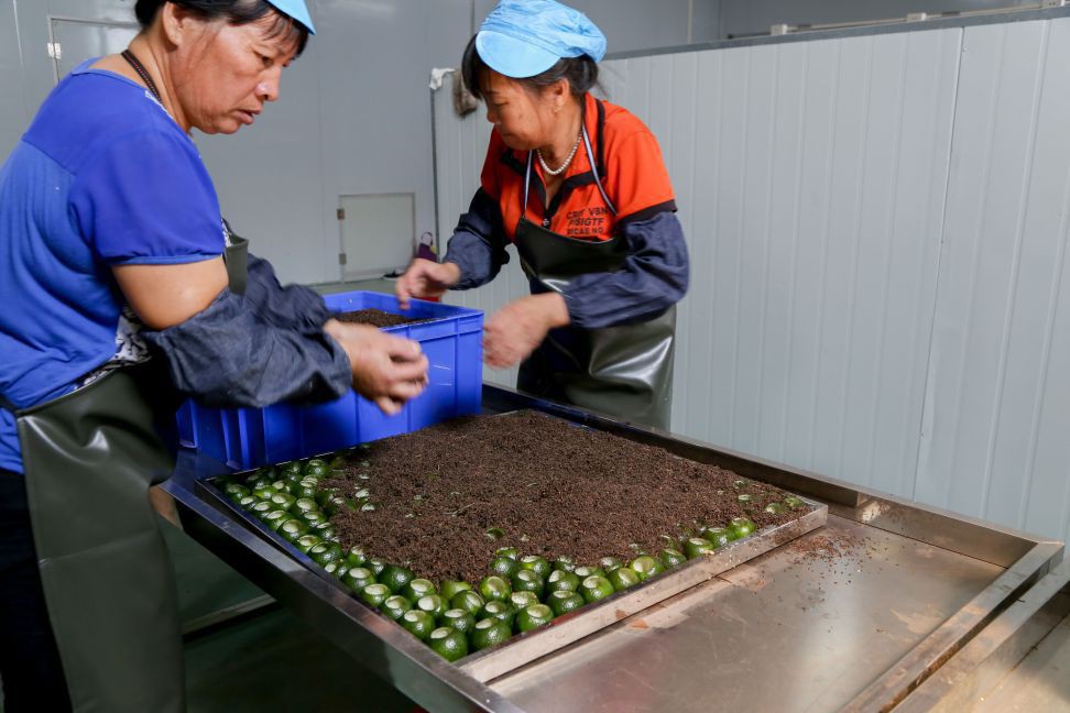 临沧柑普茶代加工、批发、零售｜紫云斋柑普茶厂家