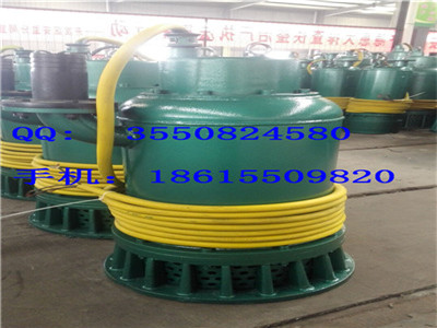 黑龙江安泰BQS10-28-2.2隔爆潜水泵用创新成果赢得市场 