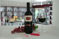 深圳进口西班牙红酒中文标签备案及标签制作哪家公司比较好