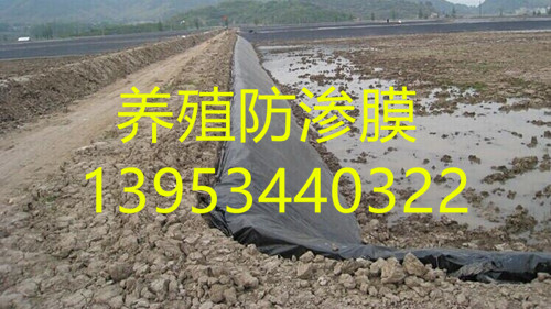 浙江水产养殖专用防渗膜生产企业