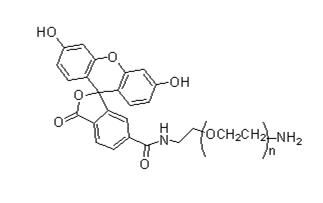 荧光素-PEG-氨基，荧光素聚乙二醇氨基，Fluorescein-PEG-Amine，FITC-PE