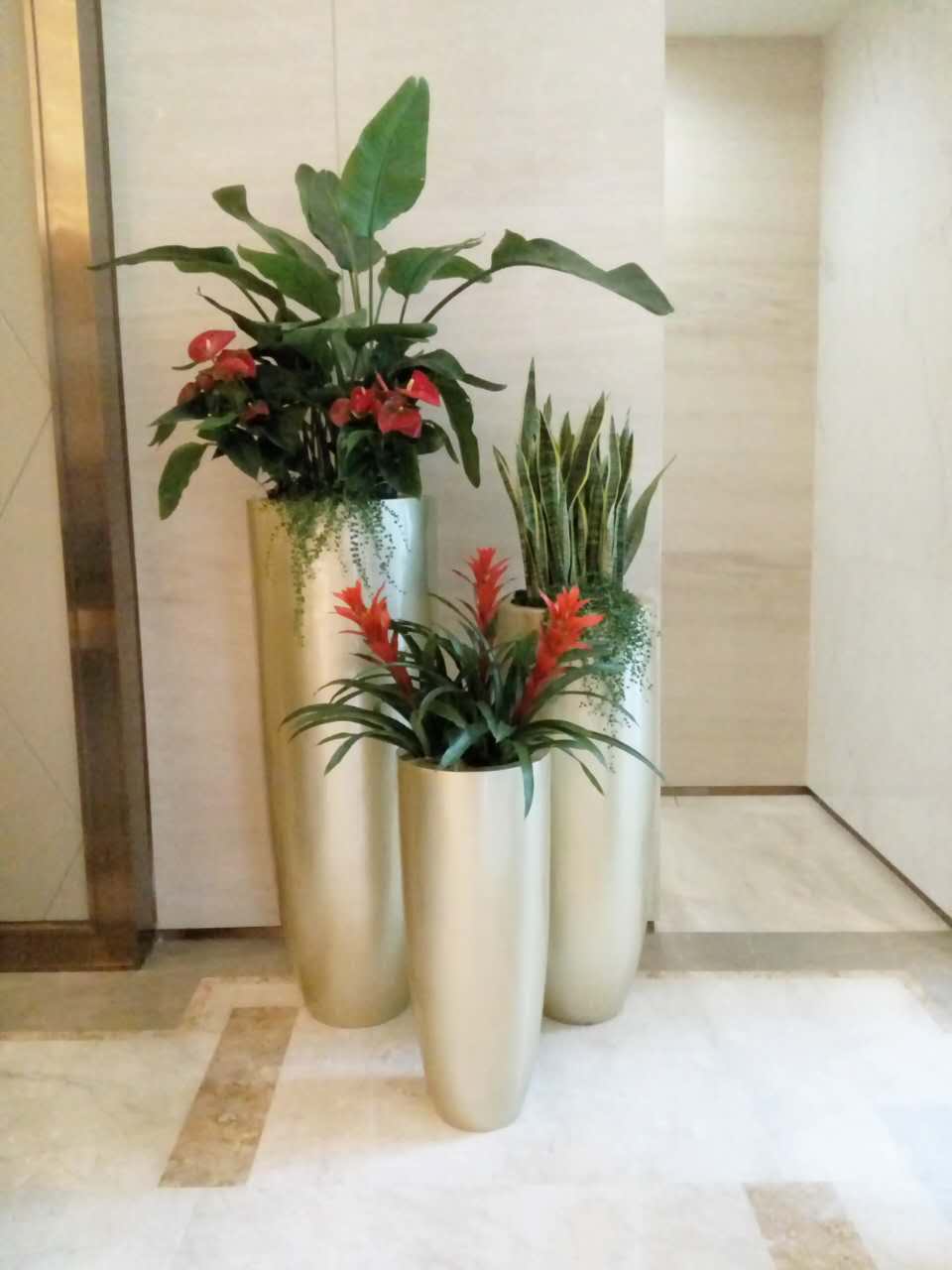 深圳市龙华苗木植物租赁绿美城园林花卉养护知识