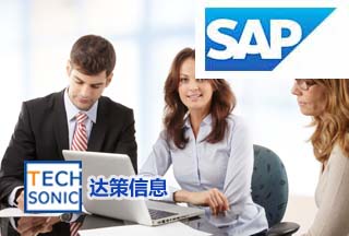 零售行业财务ERP 零售业财务管理系统 上海达策SAP供应商