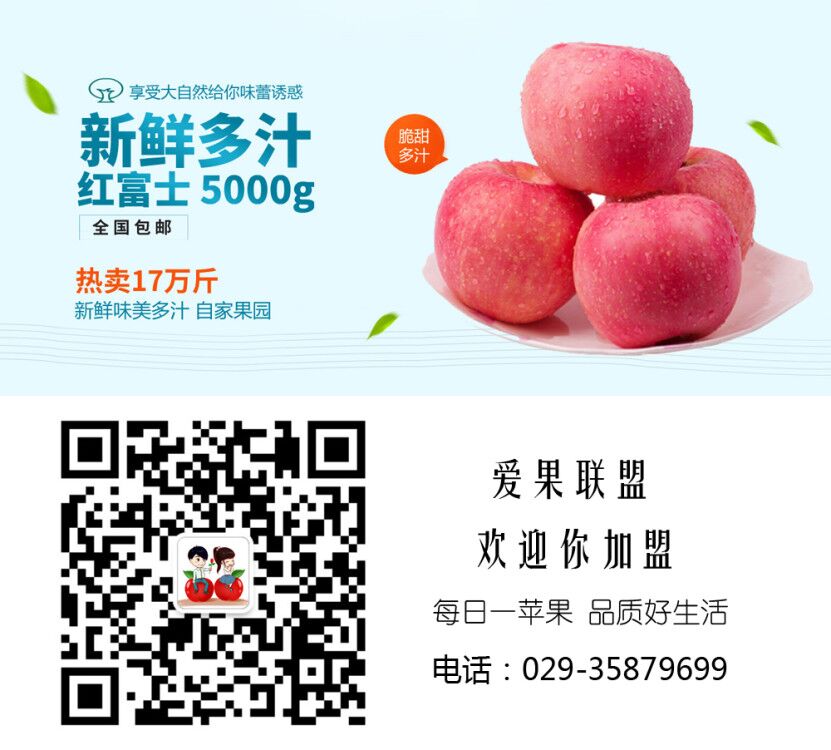  陕西红富士苹果洛川苹果优质供应价格电议