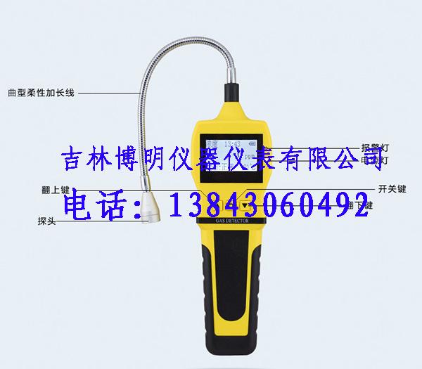 长春燃气检漏仪BM817