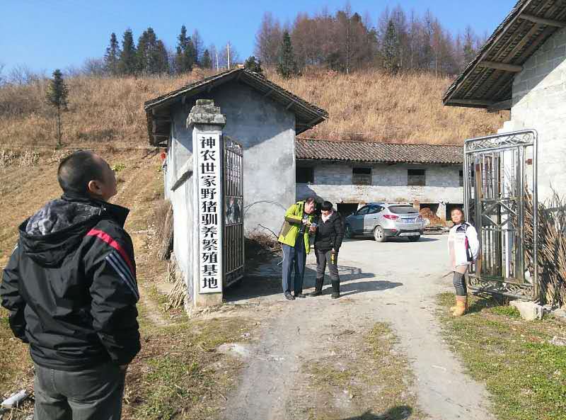 知道神农世家吗？做的怎么样？【神农世家】