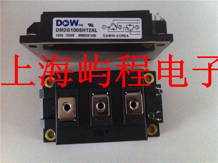 原装进口 DM2G100SH6N 韩国DAWIN大卫 GBT模块 实图拍摄 可直接拍