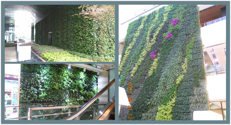 河南郑州室外植物墙设计施工公司
