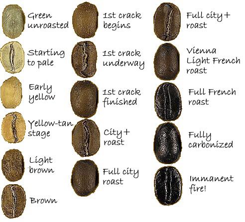 东莞学咖啡烘焙豆？东莞赛西维咖啡学校如何烘焙咖啡豆？
