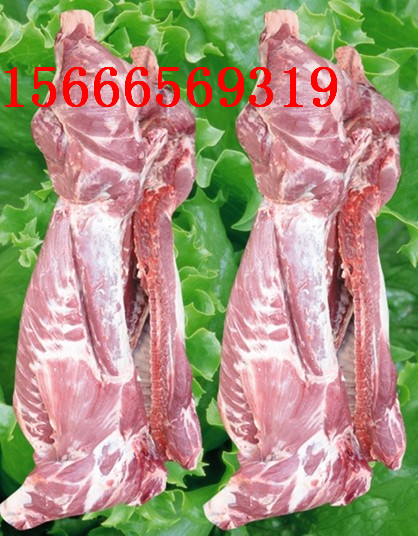 猪颈肉批发价格