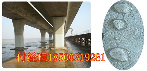 混凝土防碳化防腐涂料 混凝土防碳化涂料 混凝土防碳化防水涂料