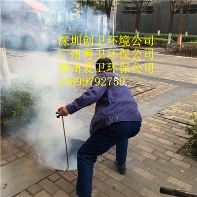 深圳罗湖专业杀虫公司杀虫技术专家