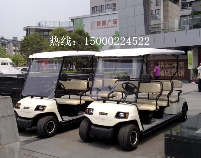 上海电动游览车出租