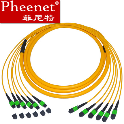 Pheenet菲尼特 MPOMTP-MPOMTP 72芯3米单模万兆100G光纤线