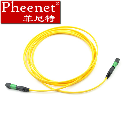 Pheenet菲尼特 MPO12芯3米单模万兆 MTP光纤线