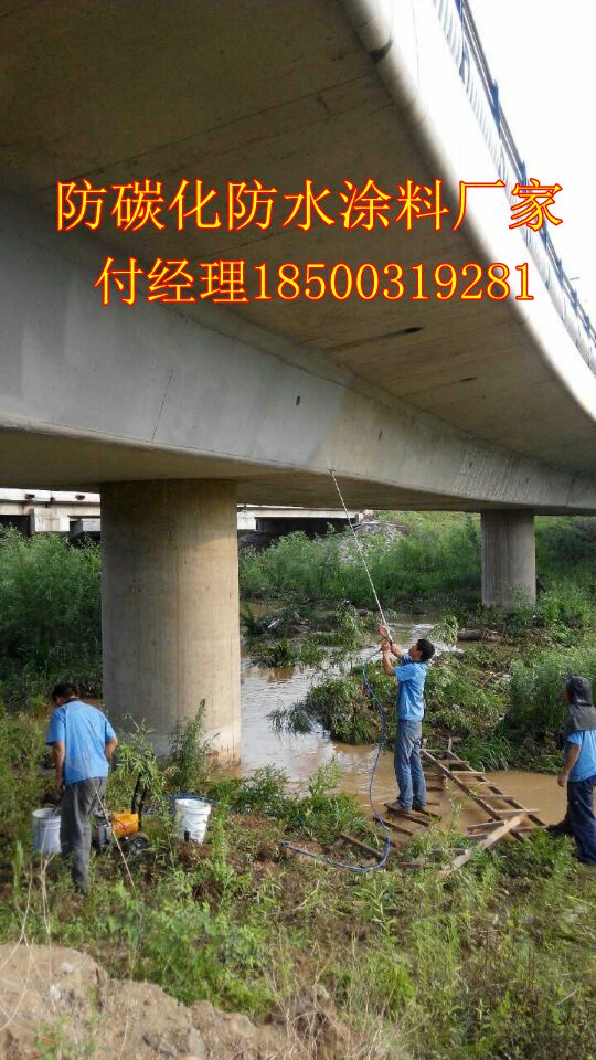 防碳化防水涂料施工工艺  混凝土防碳化涂料 防碳化涂层