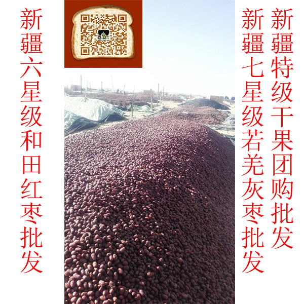 广州市真正的新疆和田红枣多少钱一斤 价值巨大价格低廉