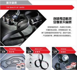 美国盖茨GATES皮带,G德国OPTIBELT欧皮特工业皮带,德国西格林(SIEGLING)输送带,