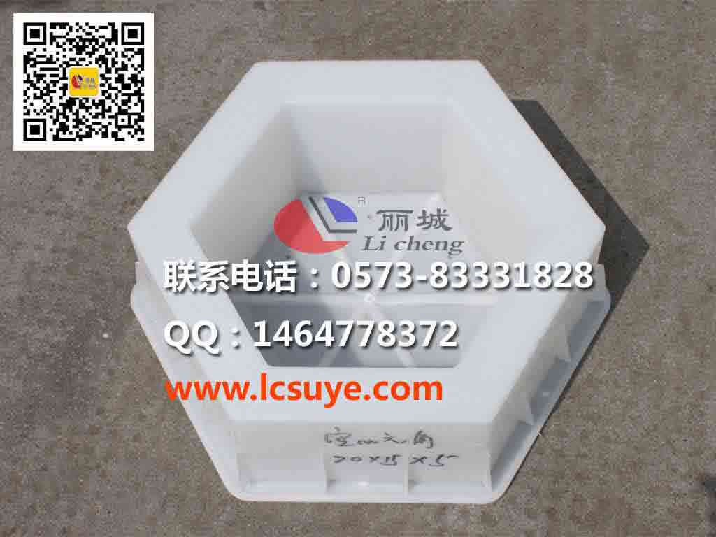 南京护坡六角塑料模具