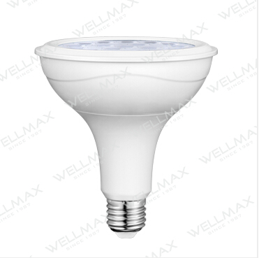 WELLMAX LED PAR LAMP PAR30/PAR38
