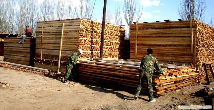 上海新旧木材基地高价回收建筑工地模板方木建材、上海建筑模板批发出售、上海建筑木方批发出售、上海新旧建