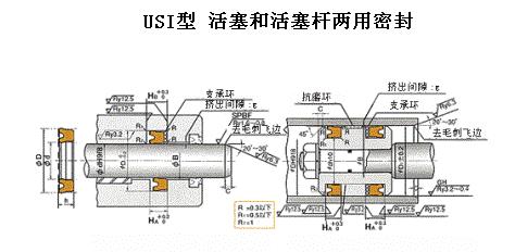 USI型日本NOK液压活塞和活塞杆密封圈