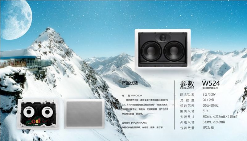 丹麦 LEVOICE 音丽士W524嵌入壁挂定阻音箱100W 镶嵌式立体声喇叭