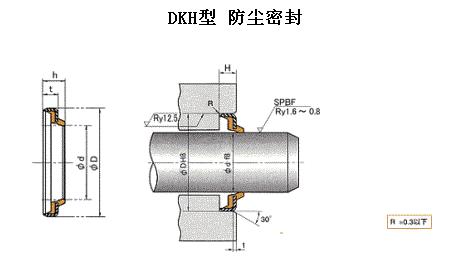 DKH型日本NOK液压外露防尘密封圈