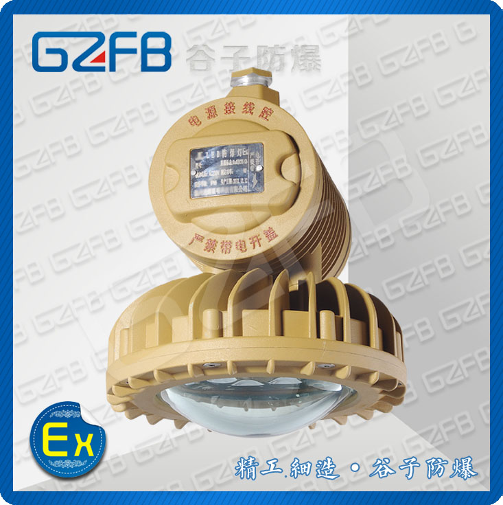 GZD220-40W 吸顶式LED防爆灯壳体 IP65