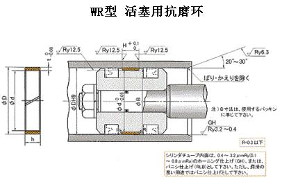 WR型日本NOK抗磨环