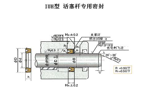 IUH型日本NOK液压活塞杆密封圈