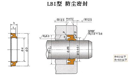 LBI型日本NOK液压缸外露防尘密封圈