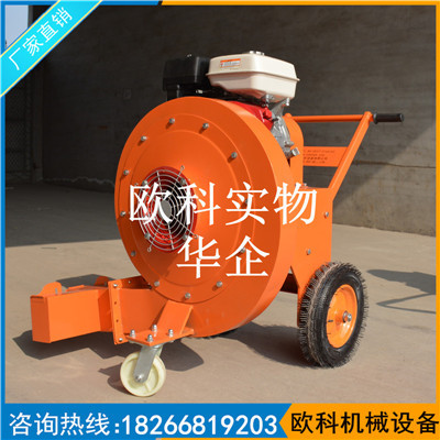 欧科园林路面吹尘机吹尘机吹雪机小型手推吹风机 
