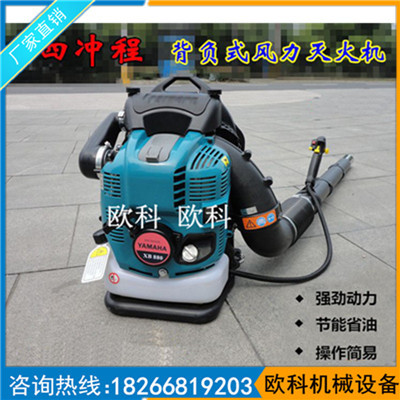 专业生产ok-650型背负式吹风机路面地缝吹尘机