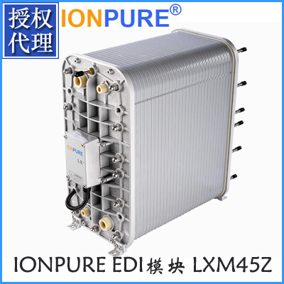 美国IONPURE-EDI模块LXM45Z 5T/H超纯水制取模块