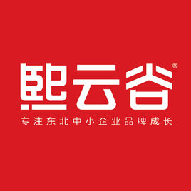 沈阳宣传册设计 沈阳logo设计 沈阳vi设计 沈阳包装设计 