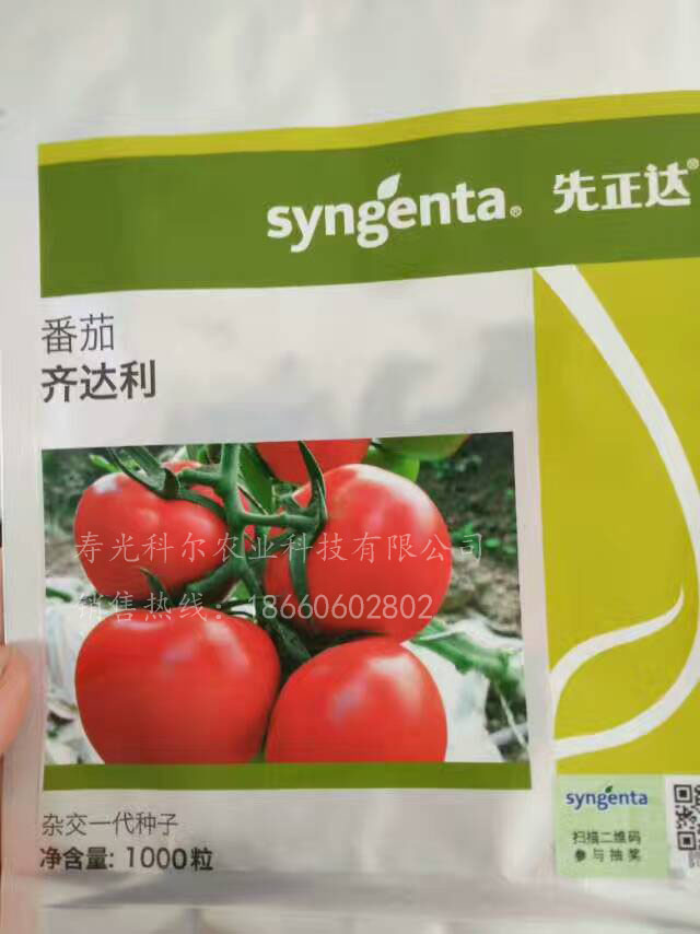 寿光科尔农业科技有限公司供应齐达利番茄种子、种苗