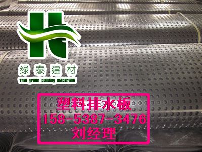 西安（园林绿化排水板）排水笼型号规格15853873476