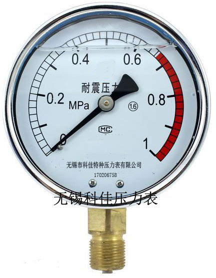 充油压力表量程型号,充油压力表型号规格