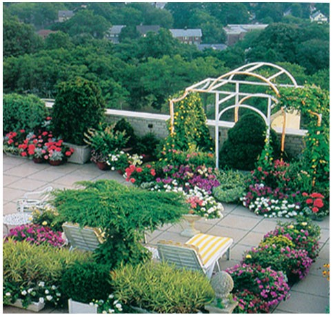 安友科技花园式屋顶绿化系统生命力强