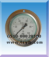 轴向带边压力表Y-50/Y60/Y100/Y150Ⅳ