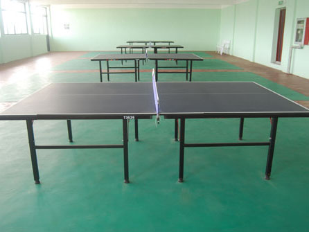苏州乒乓球桌生产厂家  苏州乒乓球桌专卖