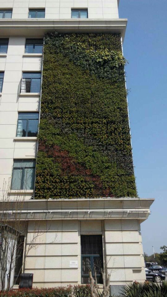 冬冷夏热建筑使用立体绿化墙调节室内外温度